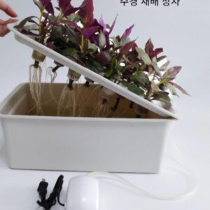 가정용 무토 야채 재배 장비, 실내 야채 및 꽃 수경 재배 화분, 발코니 재배 상자, 야채 재배 상자