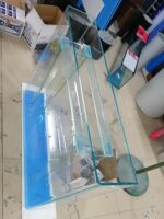 핫 벤딩 유리 이중 원형 반원형 U자형 풀 서클 어항 유리 아크 모양 레스토랑 부스 유리 제조업체 사용자 정의 - 이미지 3