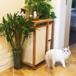 일본식 천 세탁 바구니 욕실 선반 의류 더러운 옷 보관 바구니 더러운 옷 바구니 가정 분류 더러운 옷 바구니 - 이미지 2