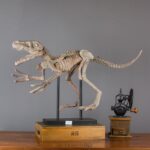 공룡 모형 동물 골격 수지 장식품 박물관 사무실 시뮬레이션 화석 교육 소품 공예품 - 이미지 2