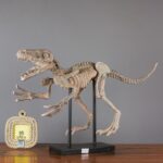 공룡 모형 동물 골격 수지 장식품 박물관 사무실 시뮬레이션 화석 교육 소품 공예품 - 이미지 4