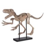 공룡 모형 동물 골격 수지 장식품 박물관 사무실 시뮬레이션 화석 교육 소품 공예품 - 이미지 5