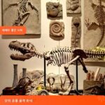 티라노사우루스 렉스 모의 골격 화석 대형 집 동물 장식품 창 장식 수지 공예품