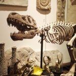 티라노사우루스 렉스 모의 골격 화석 대형 집 동물 장식품 창 장식 수지 공예품 - 이미지 2