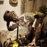 티라노사우루스 렉스 모의 골격 화석 대형 집 동물 장식품 창 장식 수지 공예품 - 이미지 3