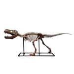 티라노사우루스 렉스 모의 골격 화석 대형 집 동물 장식품 창 장식 수지 공예품 - 이미지 5