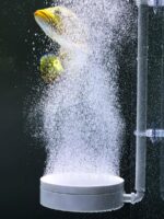 어항 무소음 산소 펌프 버블 플레이트 산소화 펌프 산소화기 공기 정제기 양식 산소 기계 나노 가스 플레이트 - 이미지 4