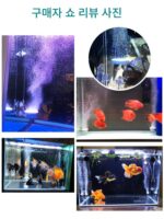 어항 무소음 산소 펌프 버블 플레이트 산소화 펌프 산소화기 공기 정제기 양식 산소 기계 나노 가스 플레이트 - 이미지 5