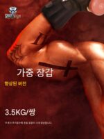 남성과 여성의 스포츠 성능을 향상시키고 맨손 훈련에도 사용할 수 있는 5kg 철사 가중 글러브 피트니스 장비 - 이미지 3
