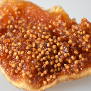 엉클 카멜 말린 무화과 신장 특산 신선 건조 과일 500g 임산부 무첨가 간식 무료 배송