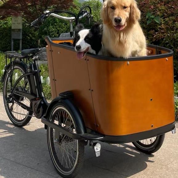 카고 바이크 전기 파워 리버스 삼륜차 저지 베이비 바이크 핸슨 리버스 당나귀 사둥이 스페셜 카