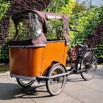 카고 바이크 전기 파워 리버스 삼륜차 저지 베이비 바이크 핸슨 리버스 당나귀 사둥이 스페셜 카 - 이미지 2