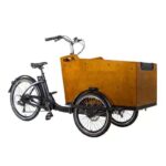 카고 바이크 전기 파워 리버스 삼륜차 저지 베이비 바이크 핸슨 리버스 당나귀 사둥이 스페셜 카 - 이미지 5