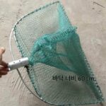 갈퀴, 달팽이, 조개, 조개류, 낚시도구, 그물, 물풀도구, 수상장비 - 이미지 2