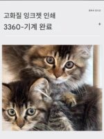 새로운 A3 소형 범용 uv 프린터 단열 유리 병 맞춤 선물 상자 금속 아크릴 휴대전화 케이스 - 이미지 3