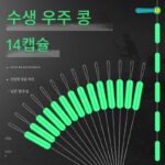 낚시 14개 스페이스 빈 실리콘 초고품질 대용량 투명 초단열 경쟁용 낚시 장비 라인 세트 소형 액세서리