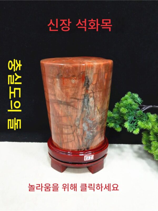 무료 배송 천연 신장 석화목 붉은 재료 나무 화석 돌 장식용 돌 가정 장식 오리지널 돌 선물 컬렉션