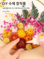 선생님의 날 말린 꽃 부채 DIY 재료 패키지 수제 영원한 꽃 궁전 부채 양면 빈 고대 부채 - 이미지 3