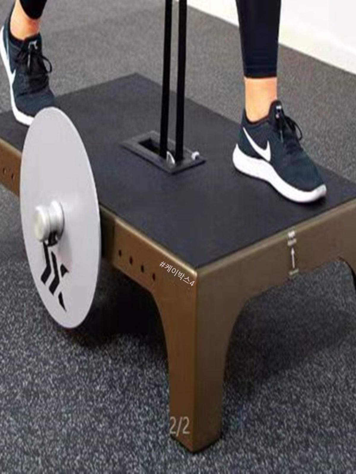 main_644499603211_0-1 새로운 상업용 원심분리기 스쿼트 저항 풀 플라이휠 트레이너 코어 스트렝스 다기능 힙 리프트 머신 홈 - 이미지 1