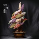 천연 수정 돈나무 거실 와인 캐비닛 현관 포춘 장식 오픈 하우스 이사 선물 홈 데코레이션 심플 - 이미지 3