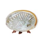 세이지 전복 껍질 호주 컬러풀 전복 껍질 받침대 페루 성목 선반 향 장식품 나무 선반 의식 감각