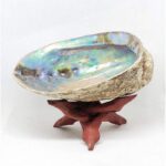 세이지 전복 껍질 호주 컬러풀 전복 껍질 받침대 페루 성목 선반 향 장식품 나무 선반 의식 감각 - 이미지 3