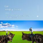 gopro 액세서리 스포츠 카메라 반려동물 스트랩 고양이 1인칭 시점 DJI 산악견 Osmo gopro 고양이 스트랩 - 이미지 2