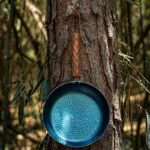 Savage bushcraft 야외 캠핑 Zhangqiu 단조 철제 팬 전통 요리 냄비 BC 팬 물고기 비늘 프라이팬 - 이미지 2