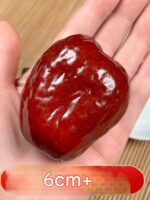 신장 대추 킹 호탄 대추 엄선 붉은 대추 임산부 간식 1000g 선물 상자 신장 특산 붉은 대추 - 이미지 2