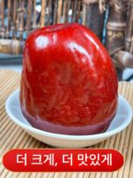 신장 대추 킹 호탄 대추 엄선 붉은 대추 임산부 간식 1000g 선물 상자 신장 특산 붉은 대추 - 이미지 4