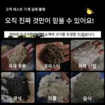 강력한 분쇄기 대형 플라스틱 분쇄기 산업용 강력한 소형 플라스틱 병 분쇄기 플라스틱 분쇄기 - 이미지 2