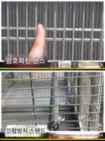 다니우 스테인리스 스틸 앵무새 케이지 304 야외 방수 선크림 대형 찌르레기 대형 럭셔리 빌라 새장 - 이미지 3