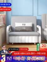 소파 침대 겸용 다기능 접이식 침대 싱글 더블 소형 아파트 거실 침실 분리형 침실 인공물