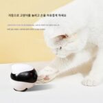 에나봇 전체 주택 모바일 애완동물 카메라 에보 로봇 지능형 리모컨 모바일 폰 원격 제어 실내 모니터 - 이미지 4