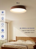 일본식 와비사비 스타일 침실 통나무 스타일 천장 램프 홈 마스터 침실 램프 디자이너 램프 호두색 스터디 램프 - 이미지 2