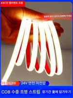 수중 COB 실리콘 라이트 스트립 24Vled 실외 방수 IP68 접착제 충전 없음 라이트 스팟 유연한 선형 라이트 스트립 수영장