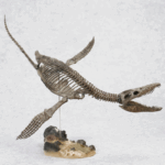 [암모나이트 제조] 플리오사우루스 포식자 X 공룡 화석 고고학 장난감 대형 핸드메이드 모델 - 이미지 2