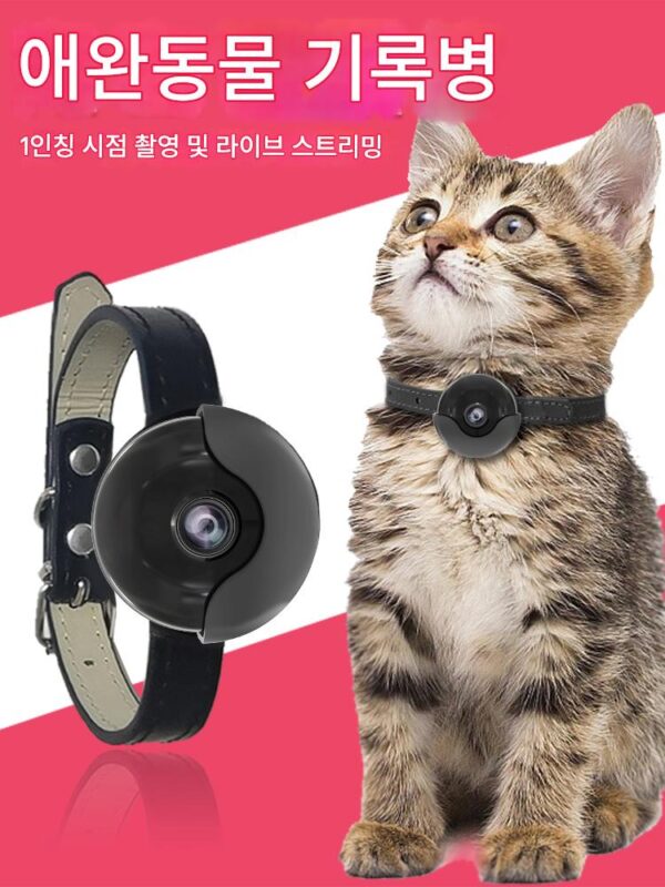 4G 고양이 개 애완동물 첫 번째 관점 매달린 목 카메라 모니터링 기록 칼라 카메라 착용 라이브 촬영