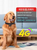 4G 고양이 개 애완동물 첫 번째 관점 매달린 목 카메라 모니터링 기록 칼라 카메라 착용 라이브 촬영 - 이미지 4