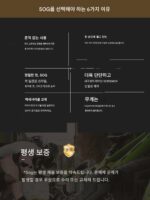 Sog 다기능 플라이어 야외용 칼 휴대용 접이식 도구 야외 비상 장비 캠핑용 휴대용 칼 - 이미지 3