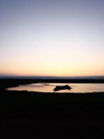 아웃도어 요기(Outdoor Yogui)는 고스트 아웃도어 텐트 캠핑 피크닉 선쉐이드 초경량 70D 양면 실리콘 코팅 네이비 블루 텐트를 보유하고 있습니다. - 이미지 4