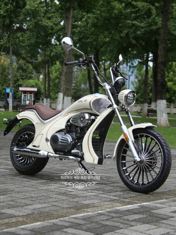 중선유미요미 오토바이 중선유미125는 기어를 바꿀 필요가 없고 무한변속이 간편하고 등록이 가능합니다.