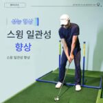 새로운 MELE LINKS Melo 골프 복합 스윙 트레이너 실내 스윙 액션 훈련 장치 - 이미지 2