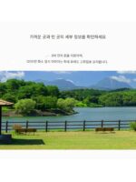 [SF] TP-LINK 무선카메라 1200만 화소 방수 휴대폰 리모컨 3배 줌 풀컬러 - 이미지 4