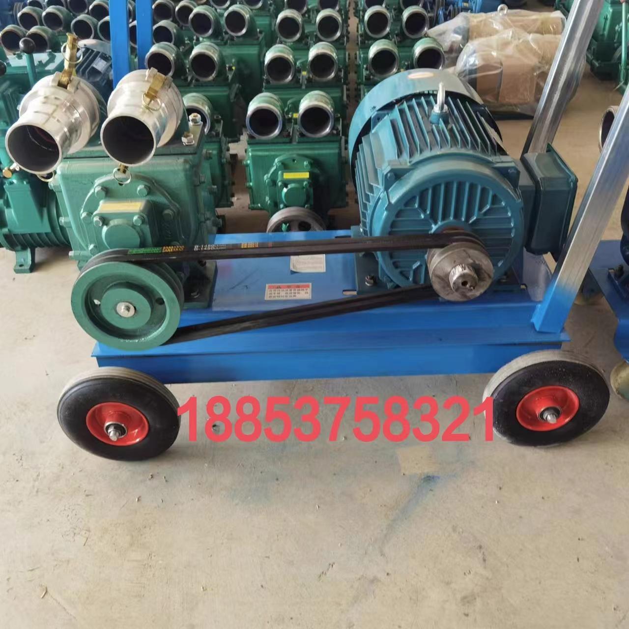 main_754773502462_0 새로운 강력한 비료 펌프 농장 비료 펌프 양면 검사 포트 비료 펌프 강력한 비료 펌프 흡입 펌프 - 이미지 1