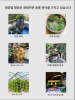 태양열 펌프 어항 산소화 순환 시스템 어항 야외 암석 정원 분수 필터 어항 - 이미지 4