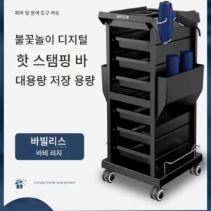 헤어 살롱 사물함 미용 도구 보관함 문 포함 바비 리즈 같은 스타일 미용 도구 카트 퍼머 및 염색 도구 카트