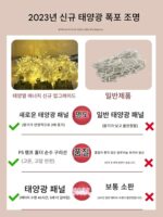 태양열 야외 조명 줄 안뜰 방수 그물 붉은 폭포 조명 울타리 발코니 장식 분위기 컬러 조명 깜박임 LED - 이미지 3