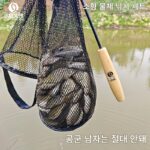 소형 낚싯대 세트 부모-자녀간편 어린이용 미니 망원형 새우 미노우 스트림 붕어 마이크로 핸드 낚싯대 풀세트 - 이미지 2