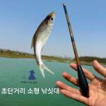 캐스팅로드 문의 소형낚싯대 초단소형낚싯대 새우낚싯대 어린이 여성 낚시친구 초보자 휴대용 세트 스트림낚싯대 - 이미지 5